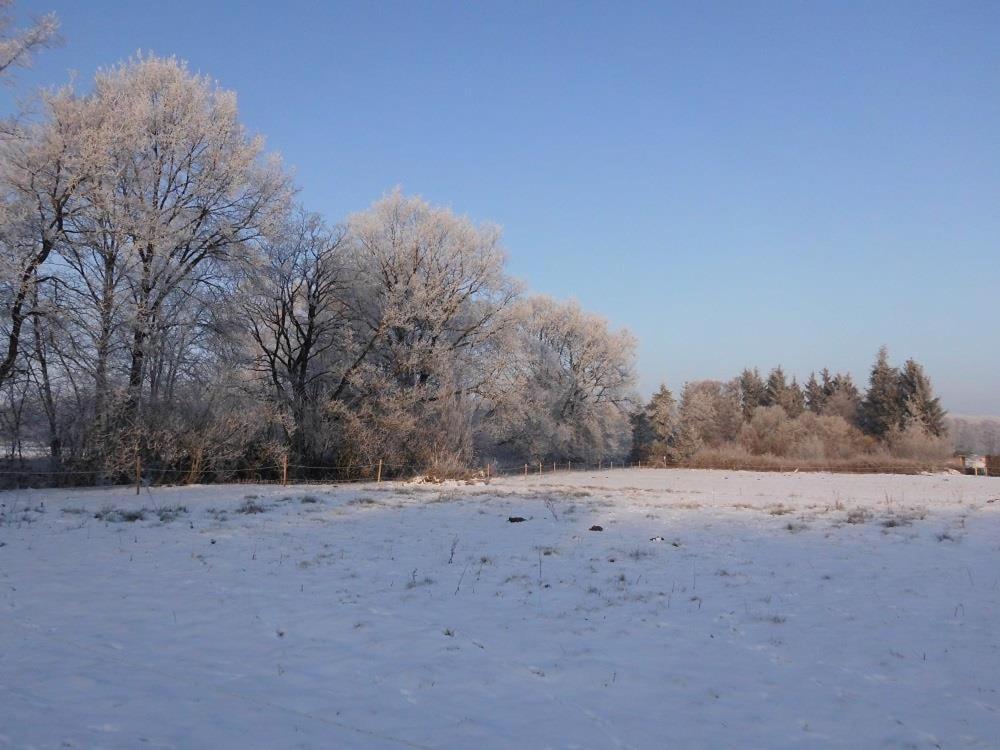 Ferienwohnungen Poettker Bad Zwischenahn Esterno foto