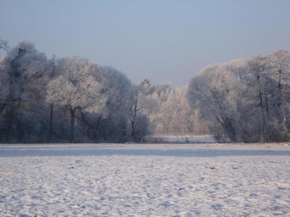 Ferienwohnungen Poettker Bad Zwischenahn Esterno foto